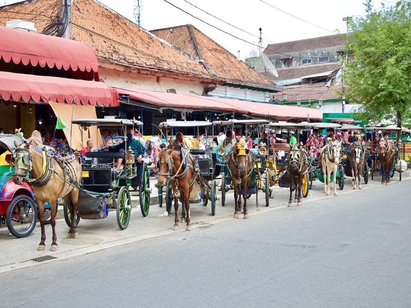 Java Bali Overland Include Ijen Trekking - Deluxe Category, foto 2