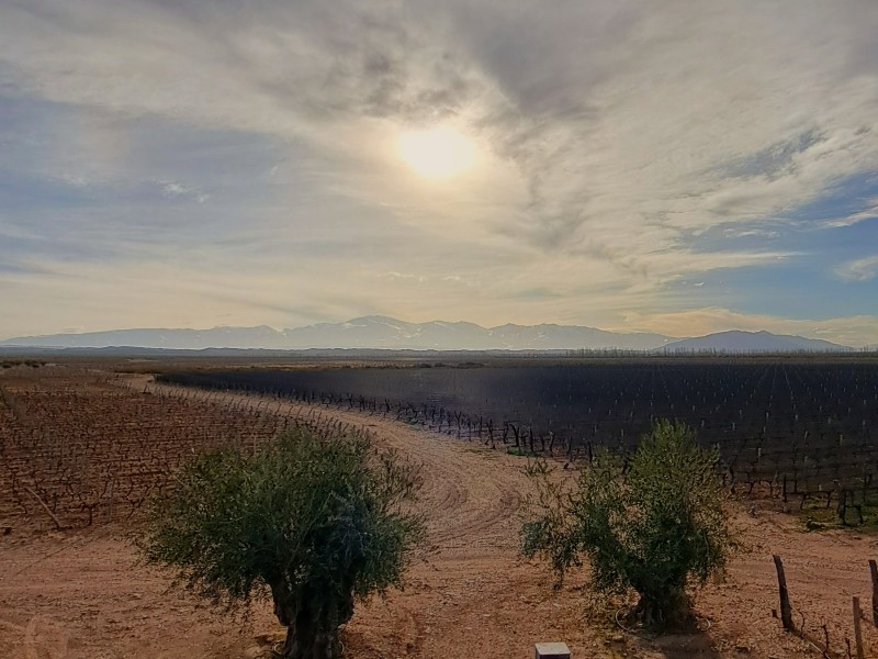 Esperienza di 4 giorni nella regione vinicola di Mendoza, con guida in lingua italiana, foto 5