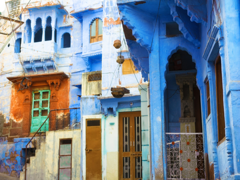Special Rajasthan, guida in lingua italiana, foto 3