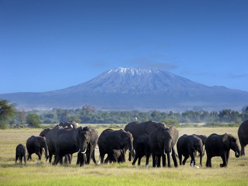 Avventura in Kenya, foto 3