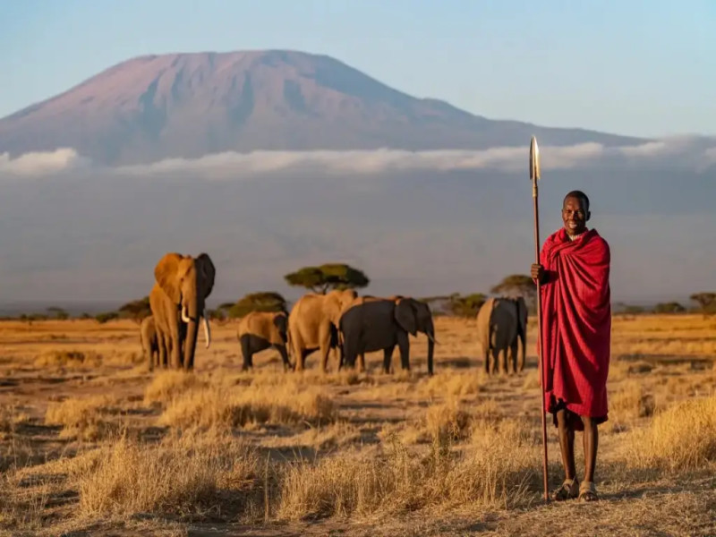 6 Giorni da Watamu ad Amboseli e Taita Hills in Jeep 4x4 Privata, foto 6