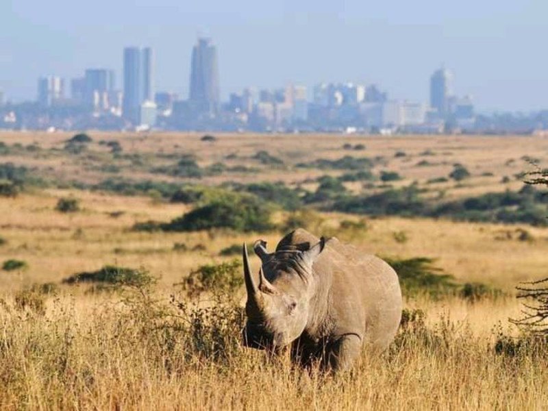 Nairobi