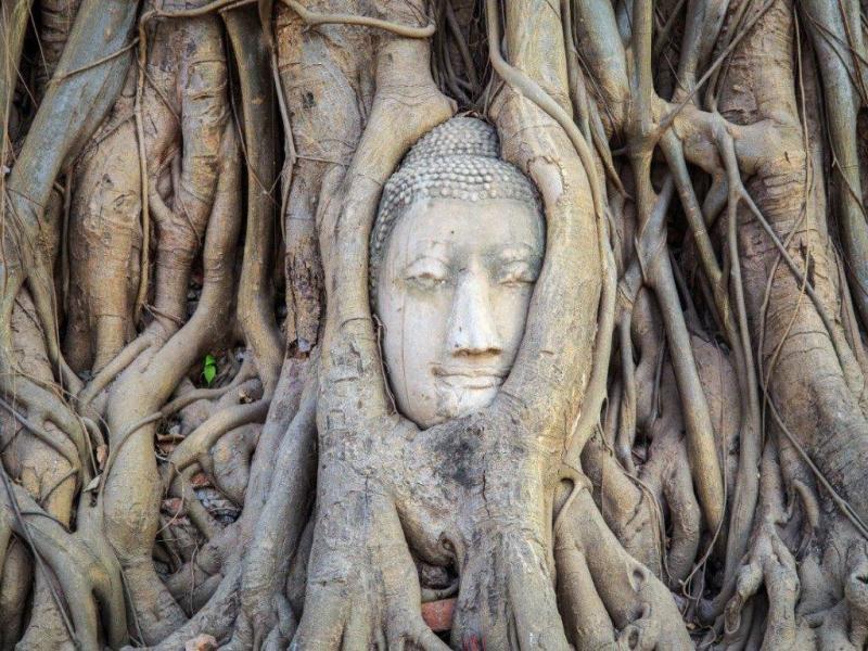 Pacchetto Grand Tour in Thailandia e Cambogia, Tour per piccoli gruppi (altre lingue)