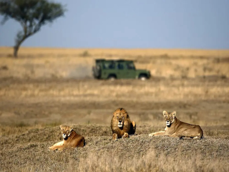 Wild Tanzania EXPERIENCE, foto 5