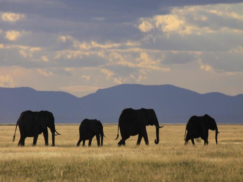 Attraverso la Rift Valley, Serena Lodges - Tour privato, foto 3