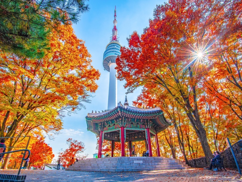 Tour Combinato : Alla scoperta del Giappone e della Corea in 3 settimane, foto 2