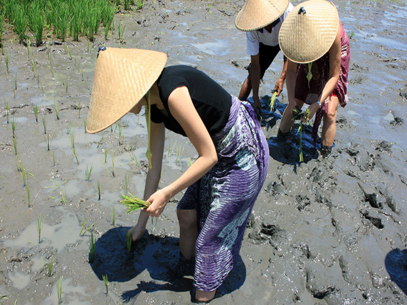 Bali Local Farming Tour (Pranzo Incluso), foto 6