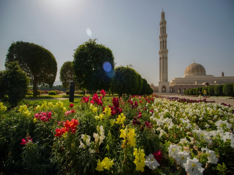 Incontro Con L’Oman, foto 6