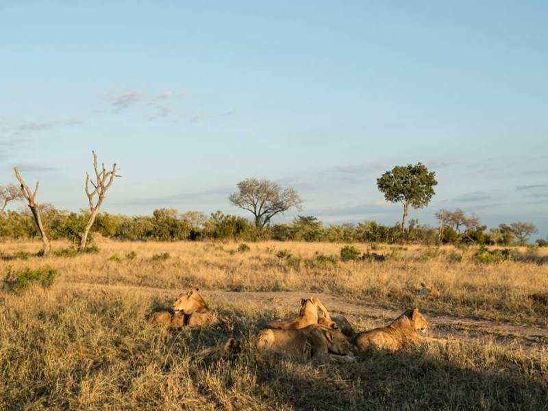 Da Masai Mara Amboseli Tsavo Alla Spiaggia Di Watamu, foto 9