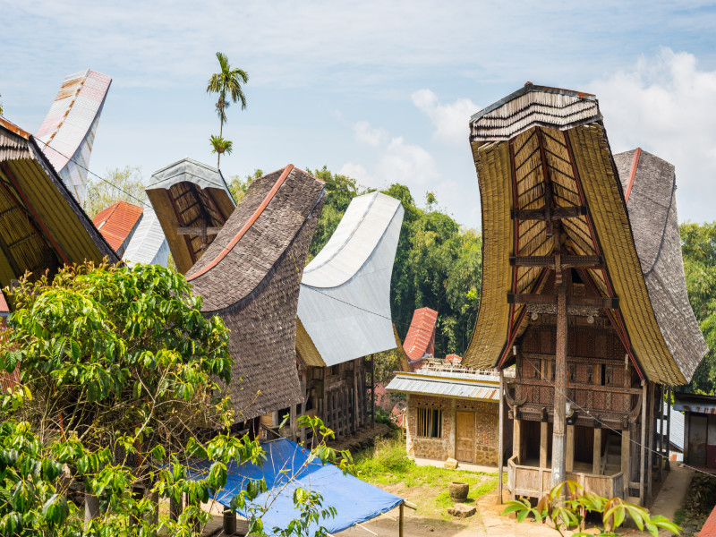Toraja Package, foto 3