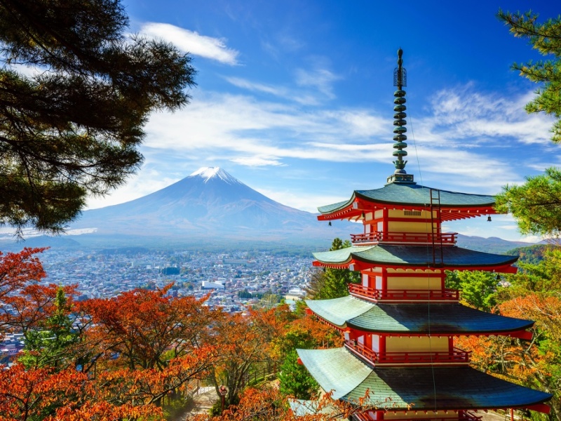 Tour Individuale : Luoghi iconici e Monte Fuji en 3*, foto 8