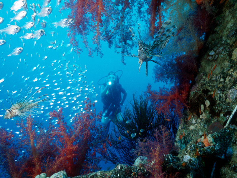 Storia e Natura con Mar Rosso, foto 12
