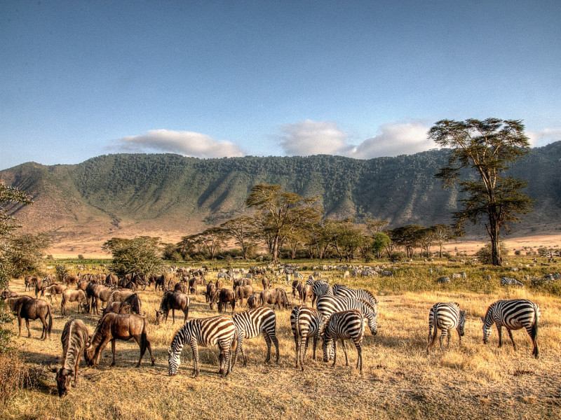 Karatuu