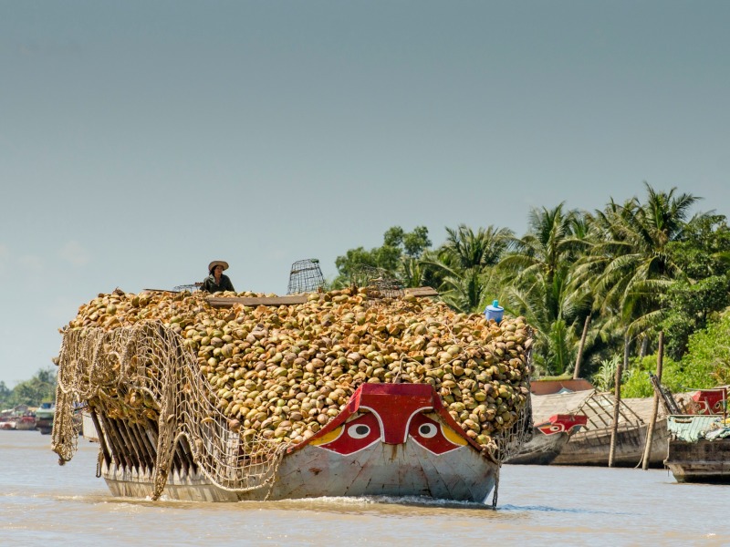 In bicicletta lungo il delta del Mekong (con guida in inglese), foto 8