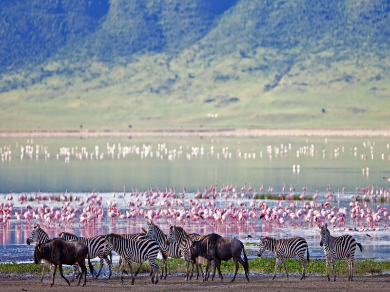 Giants of Tanzania, foto 3