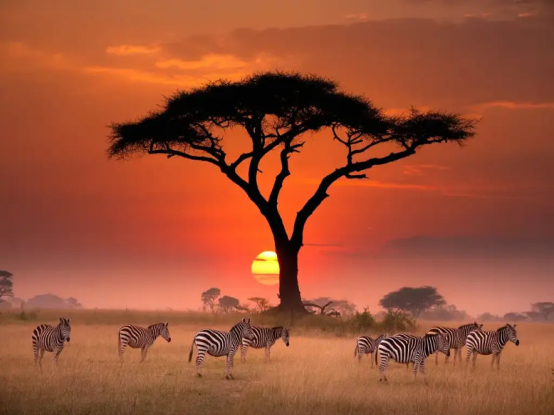 Karatuu, Ngorongoro