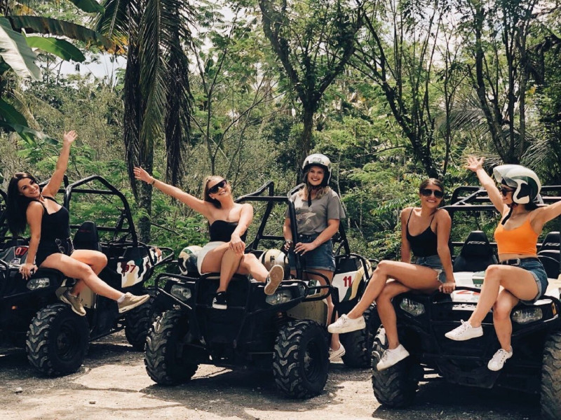 Jungle Buggies
