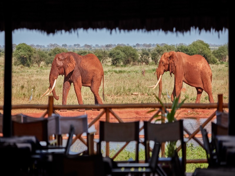 6 Giorni da Watamu ad Amboseli e Taita Hills in Jeep 4x4 Privata