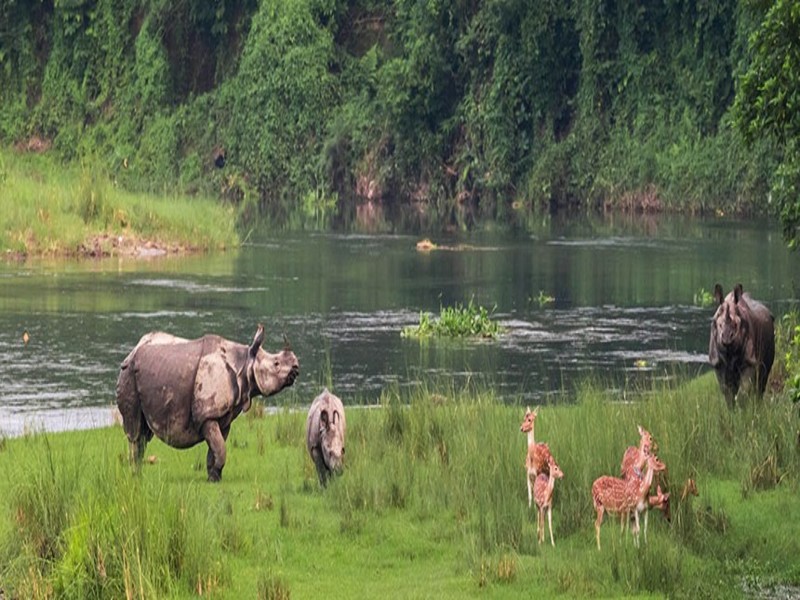 Narayani