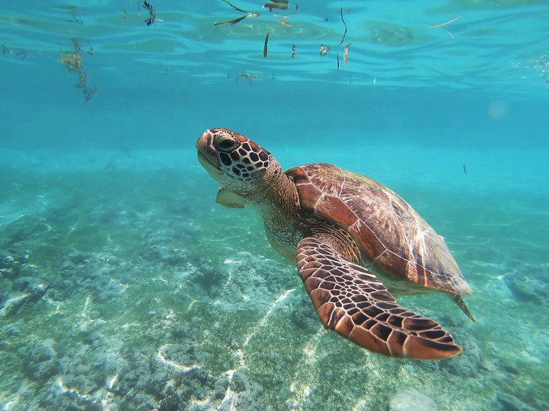 Yucatán fuori dai sentieri battuti, foto 12
