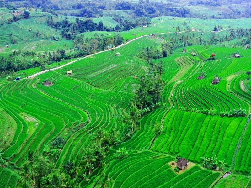 Bali Experience, foto 4