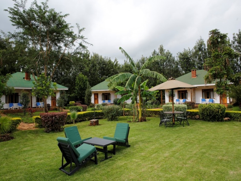 Wild Tanzania EXPERIENCE, foto 3