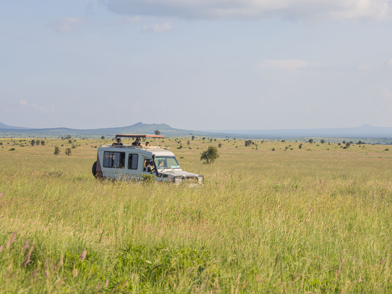 5 Giorni da Watamu ad Amboseli e Taita Hills in Jeep 4x4 Privata, foto 4