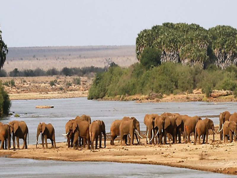3 Giorni Da Watamu allo Tsavo e Taita Hills in 4x4 Jeep Privata