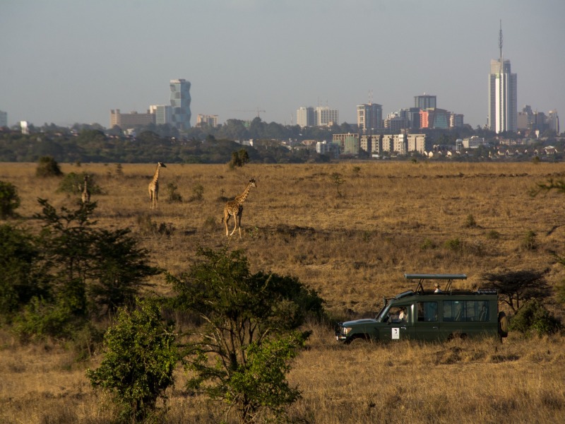 Eco Safari dalla Rift Valley al Masai Mara, foto 3