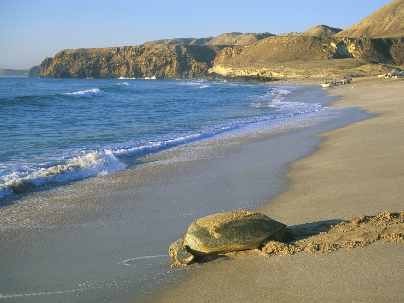 Favoloso Oman, foto 3