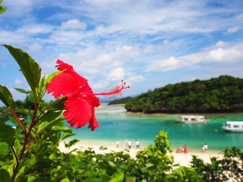 Paradiso Giapponese : Tokyo, Kyoto, Osaka e le spiagge di Okinawa 3* e 4*, foto 4