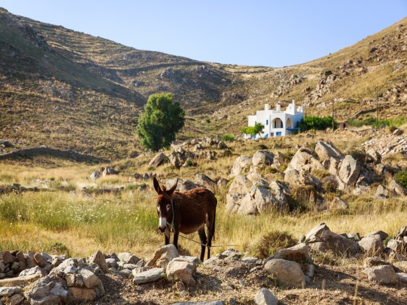 Tour Combinato: Santorini, Paros, Naxos e Mykonos in hotel 4*, foto 2