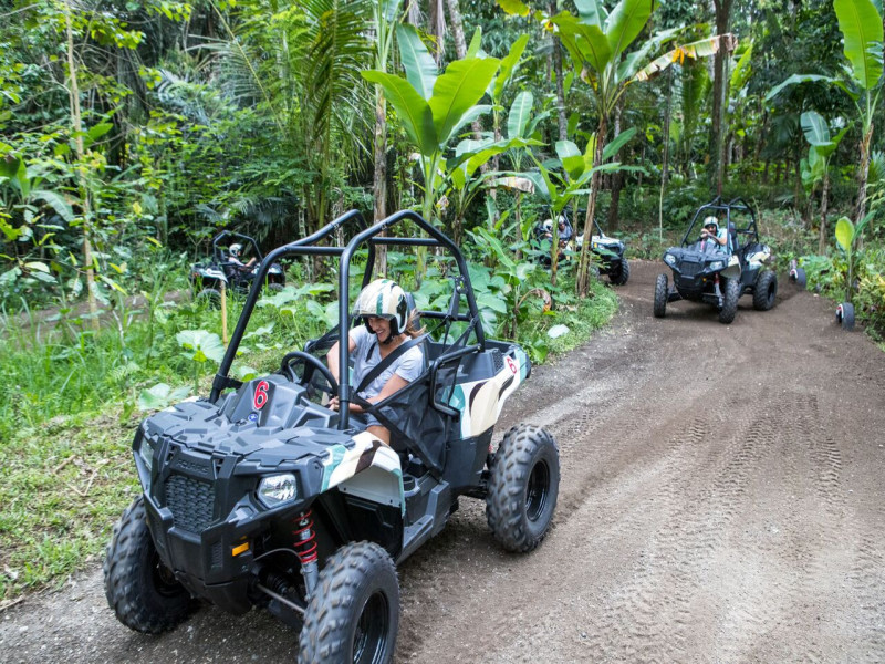 Jungle Buggies, foto 2