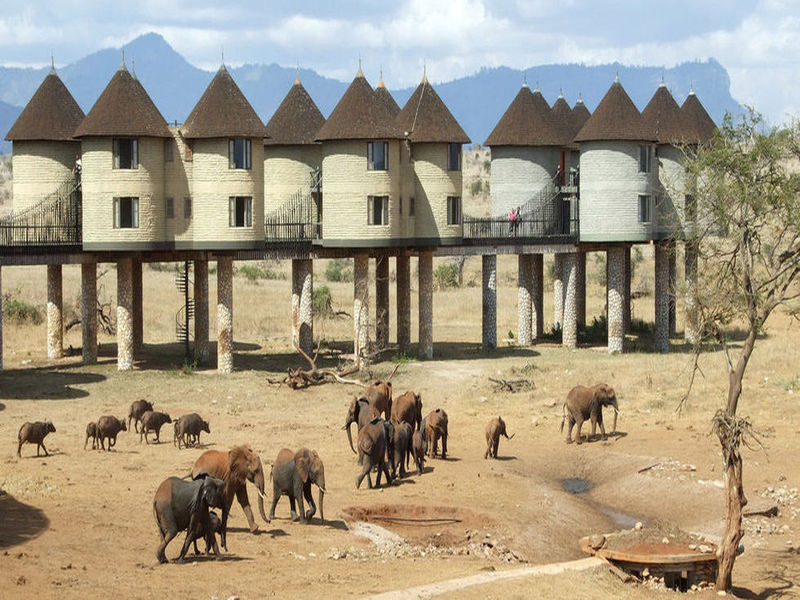6 Giorni da Watamu ad Amboseli e Taita Hills in Jeep 4x4 Privata, foto 2