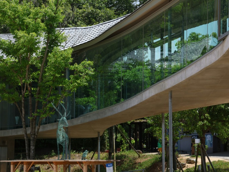 Tour dell'arte e dell'architettura in Giappone, foto 3