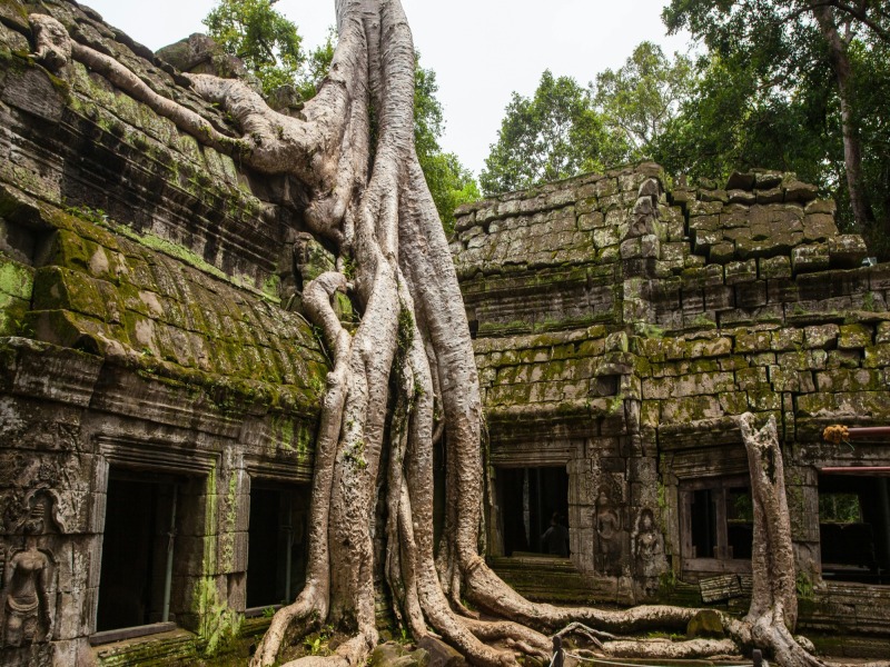 SIC Tour: Viet Nam Meraviglie E Tesori e Siem Reap 4g3n - 2025, foto 12