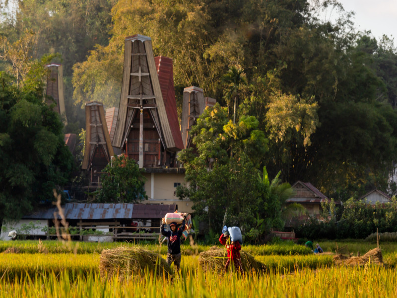 Toraja Package, foto 10