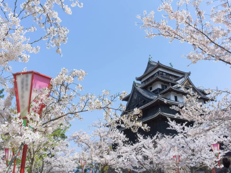 Chugoku: Il segreto del Giappone, foto 7