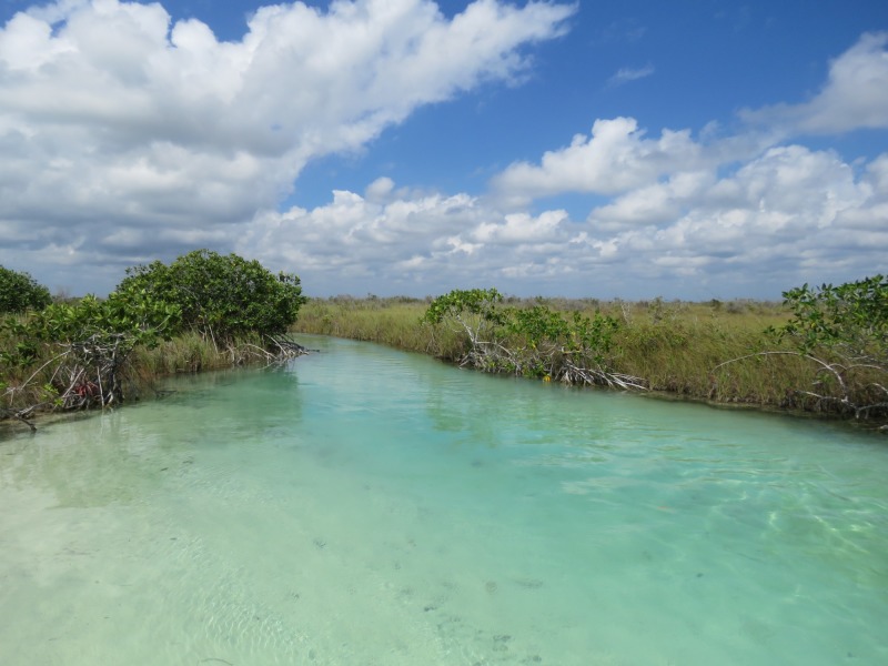 Yucatan Completo, foto 3