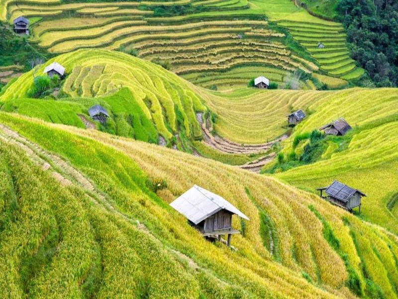 L’incantevole scenario di Sapa (con guida in inglese)