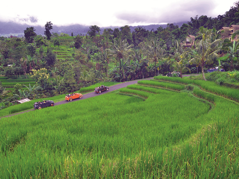 Jatiluwih - Bedugul Tour