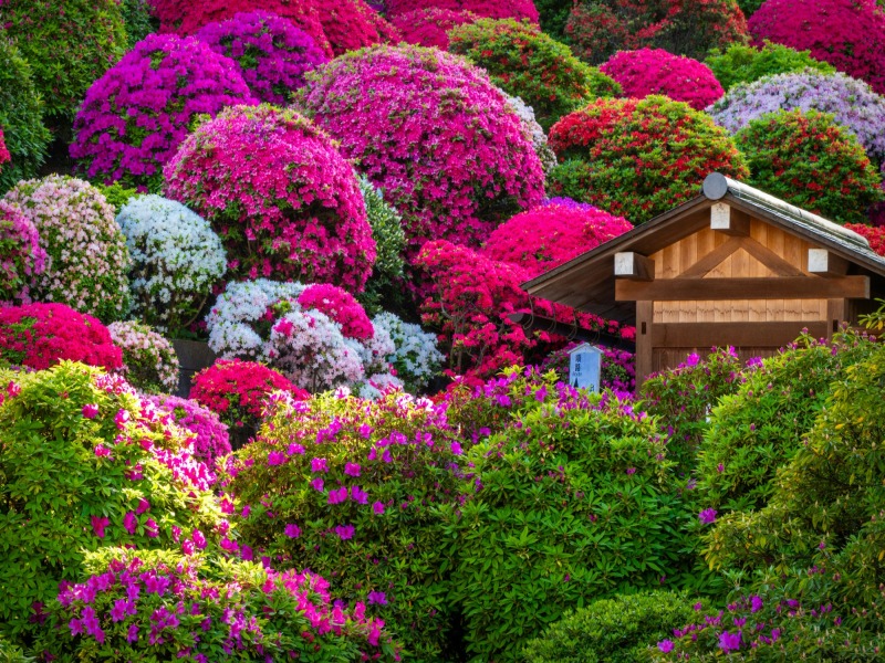 Tokyo