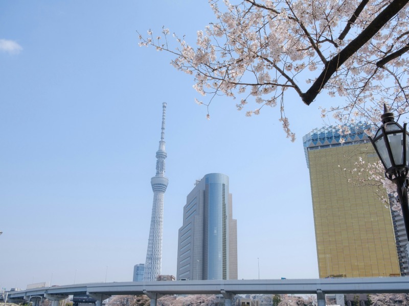 Paradiso Giapponese : Tokyo, Kyoto, Osaka e le spiagge di Okinawa 3* e 4*, foto 3
