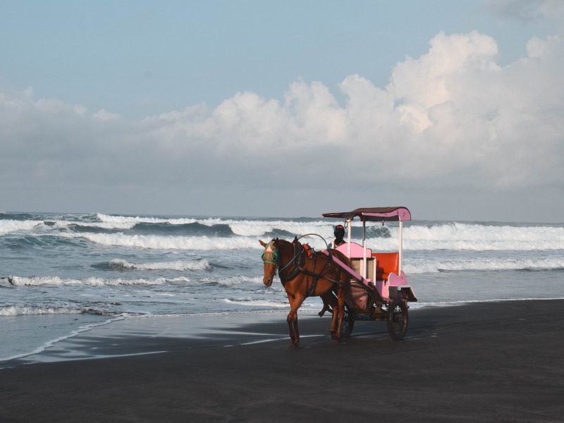 Jogjakarta Free & Easy, foto 3