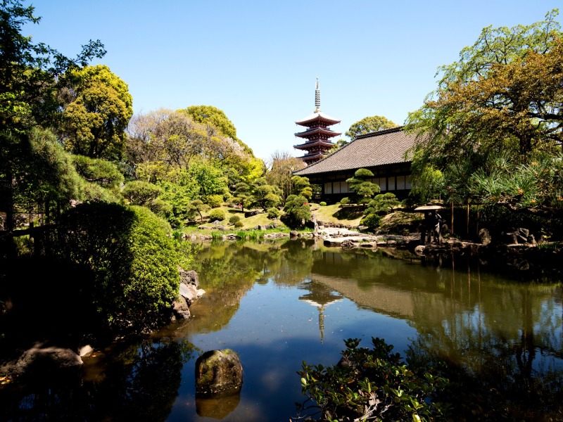 Soggiorno a Tokyo 3*, foto 7