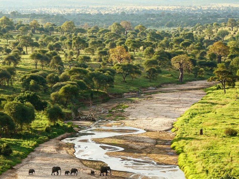 Wild Tanzania EXPERIENCE, foto 6