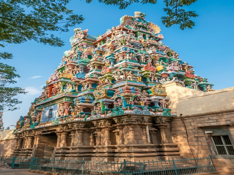 India meridionale (Estate), foto 10