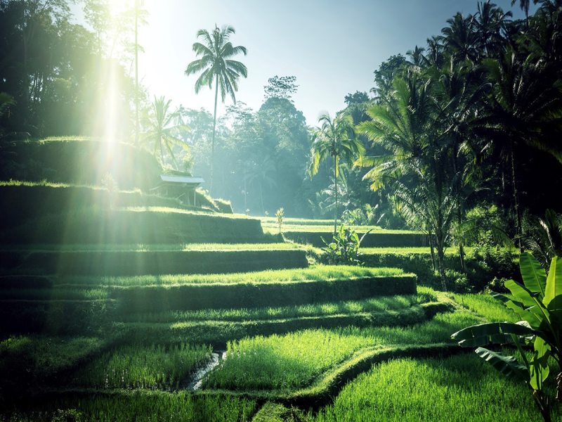 Luxury Bali
