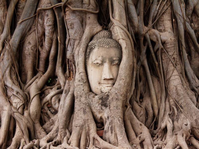 Chiang Mai 4G3N 2027