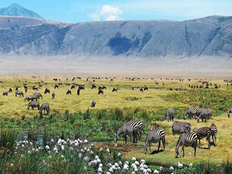 Wild Tanzania EXPERIENCE, foto 7